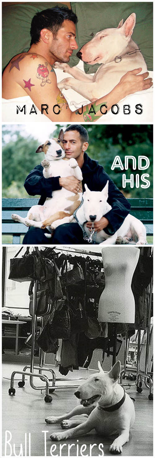 marcjacobs-bullterriers_2